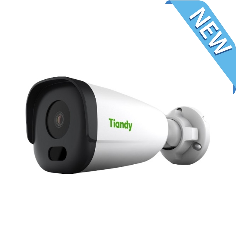 Camera IP Tiandy TC-C32GS