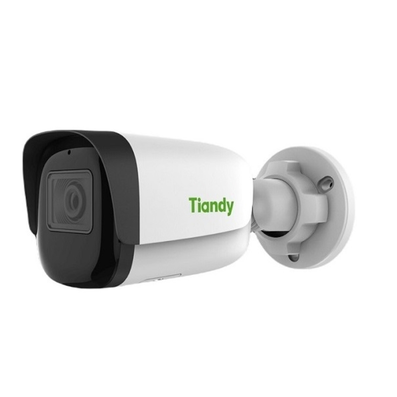 Camera IP Tiandy TC-C34WS