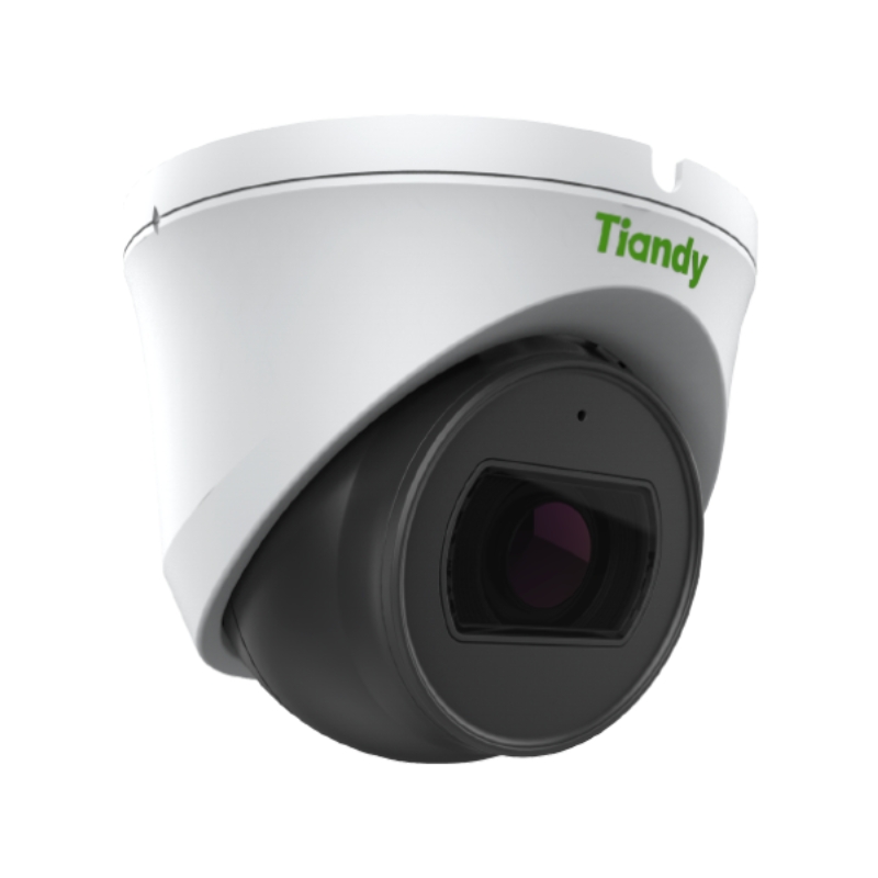 Camera IP Tiandy TC-C38SS