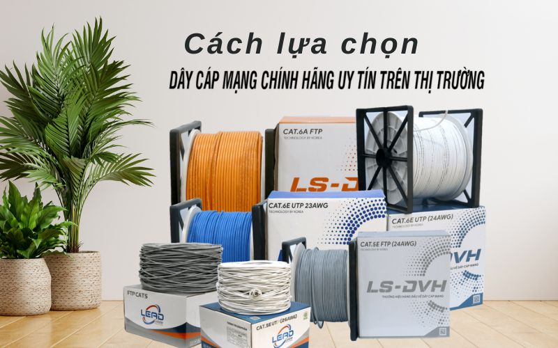 Cách lựa chọn dây cáp mạng trong một hệ thống truyền thông