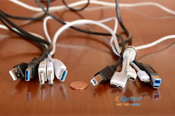 lấy dữ liệu từ máy chấm công qua usb