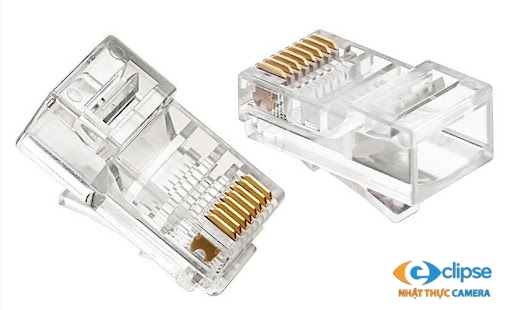 Hạt mạng AMP RJ45 - CAT5 AMP