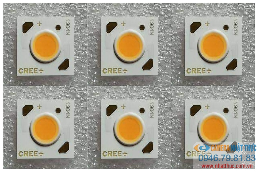 Led cree USE