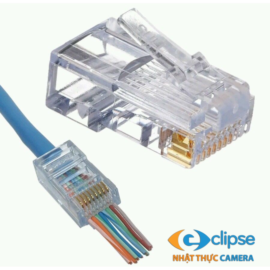 Hạt mạng xuyên thấu Cat6