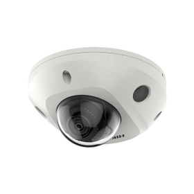 Camera IP Hikvision DS-2CD2546G2-IS