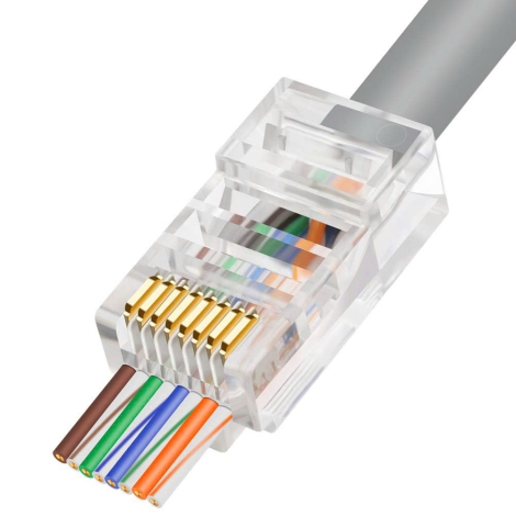 Hạt mạng xuyên thấu Cat6